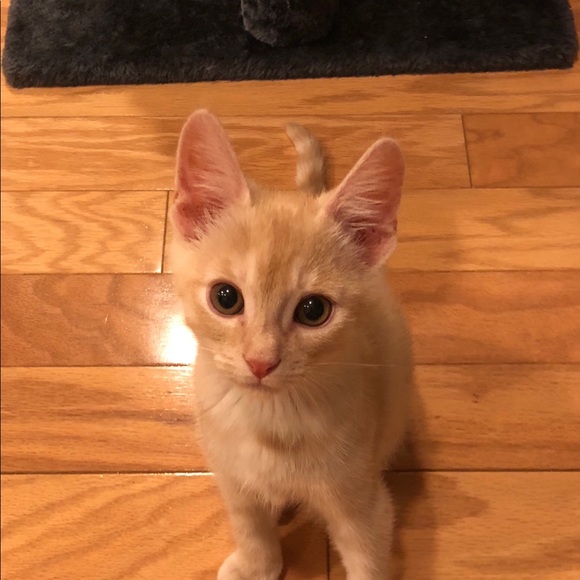 Reasonable offers welcome! 😁👍 - Picture 1 of 3